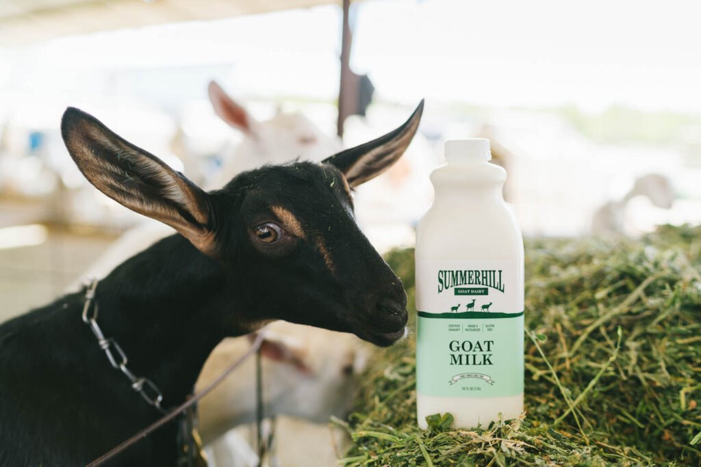 goat milk vs cow milk