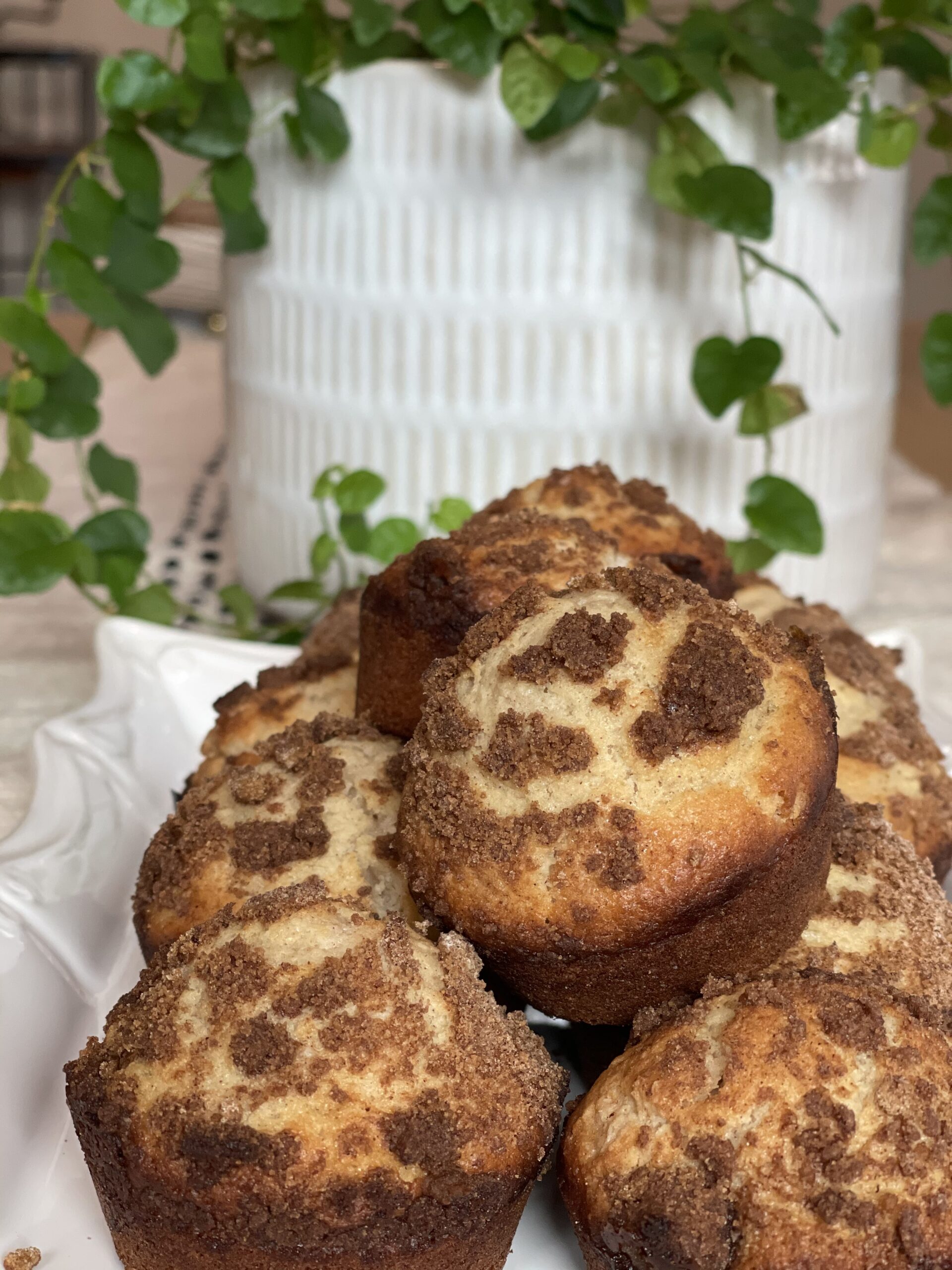 Cinnamon Muffins made with goat milk