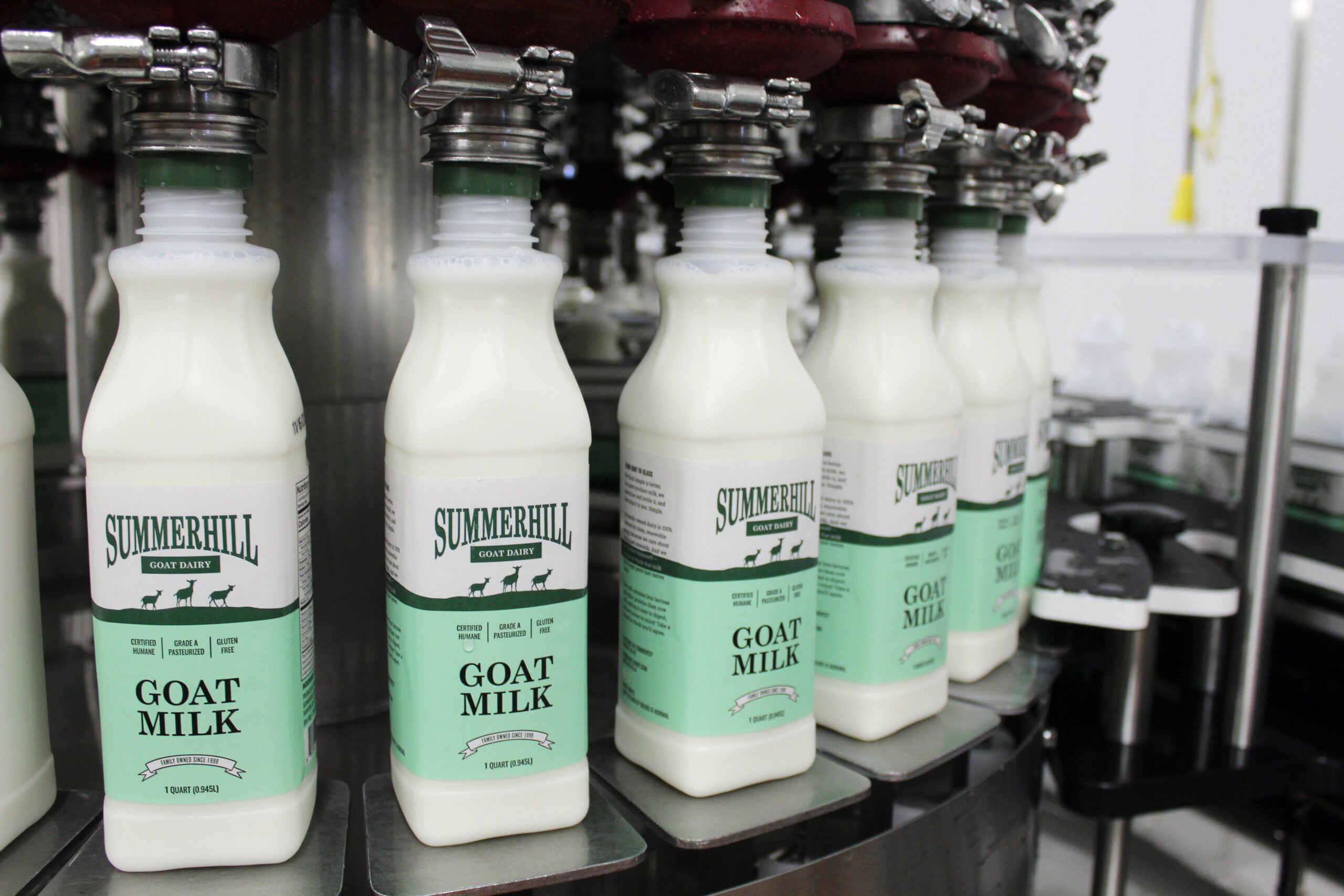 Pasteurization of Summerhill Goat Milk