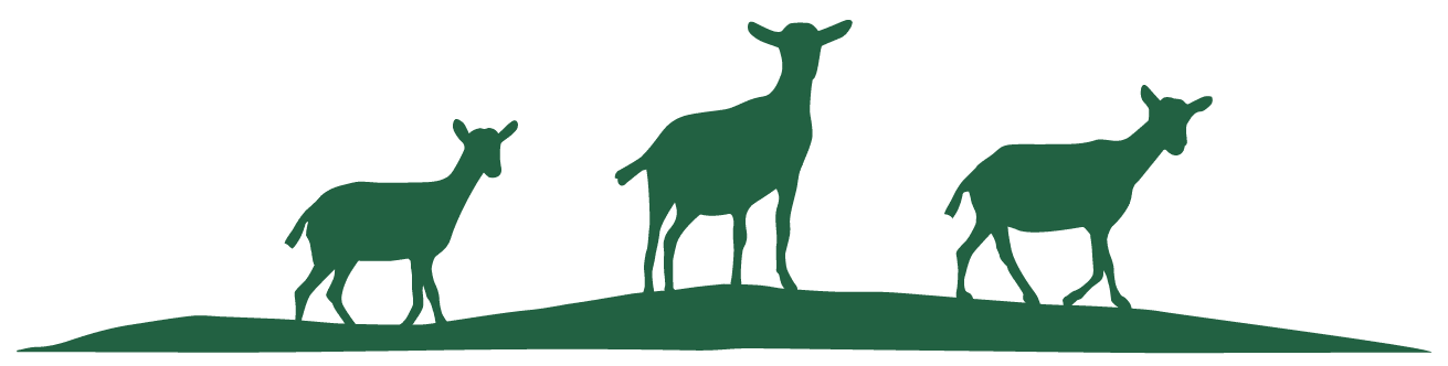 Summerhill Goat Dairy logomark